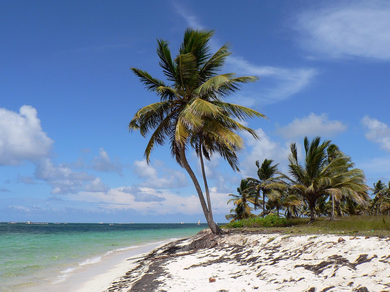 Punta Cana 🇩🇴